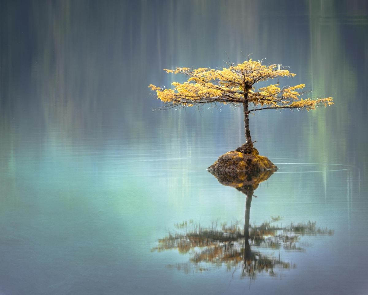 Mindfulness and Focus Concept